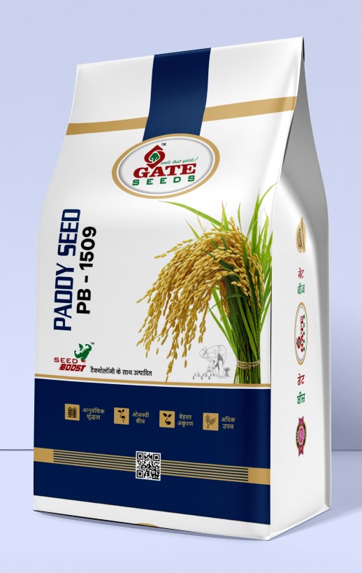 GateSeeds PB-1509 paddy seed pack