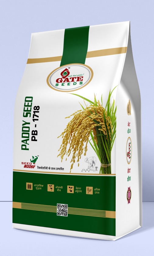 GateSeeds PB-1718 paddy seed pack alternate view