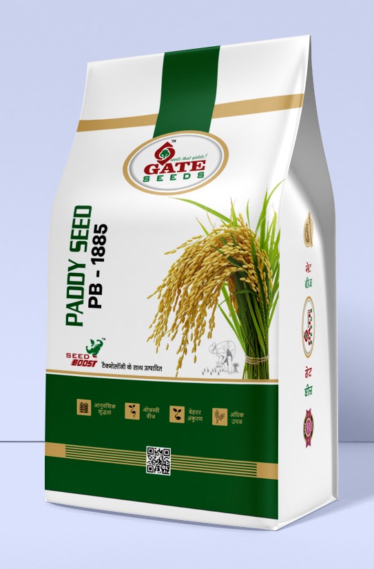 GateSeeds PB-1885 paddy seed pack